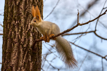 Similar image 21553761