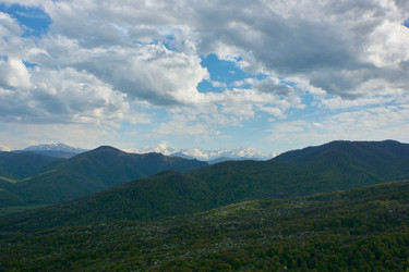 Similar image 21553762