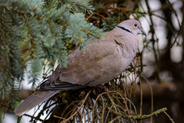 Similar image 21553765