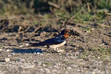 Similar image 21553768