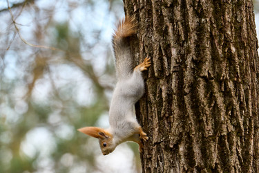 Similar image 21553769