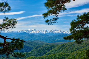 Similar image 21553770