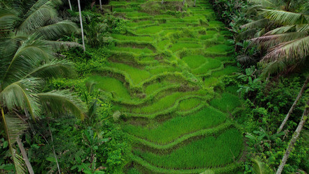 Similar image 21553646