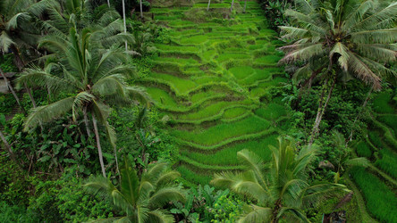 Similar image 21562503