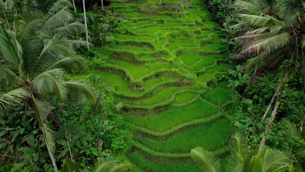 Similar image 21562506