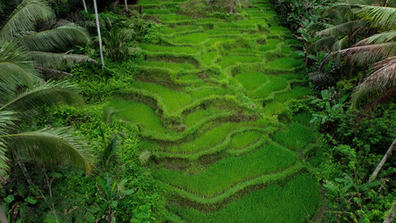 Similar image 21562510