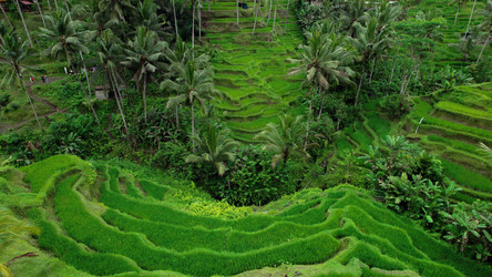 Similar image 21562514