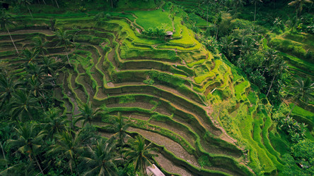 Similar image 21553496