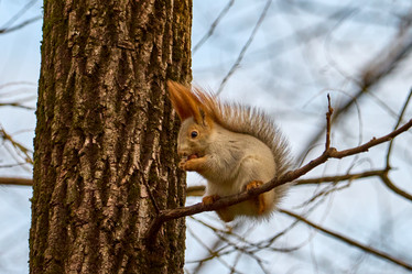 Similar image 21553650