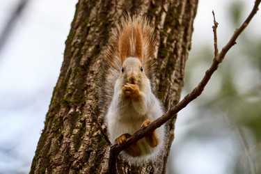 Similar image 21553654