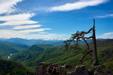 Similar image 21553655