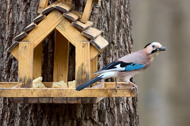 Similar image 21553656