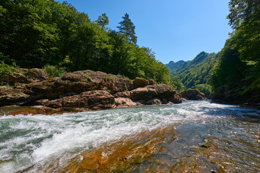 Similar image 21553661