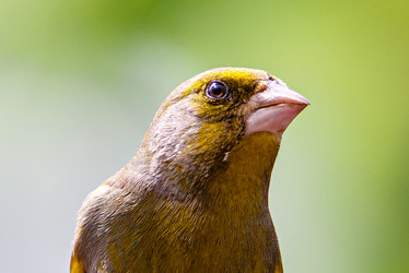 Similar image 21553664