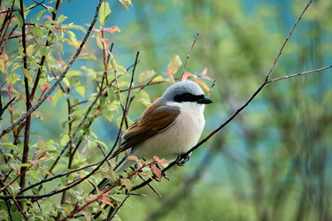 Similar image 21553666