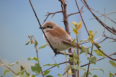 Similar image 21553668