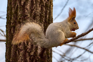 Similar image 21553670