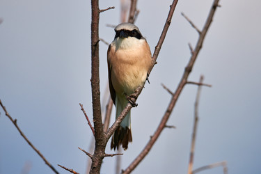 Similar image 21553678