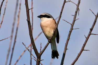 Similar image 21553680