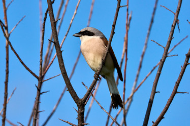 Similar image 21553681