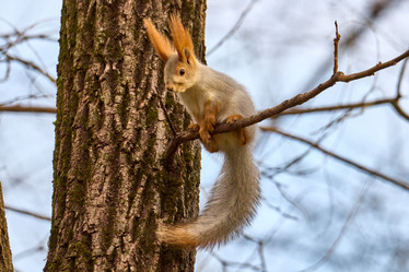 Similar image 21553686