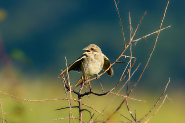 Similar image 21553692