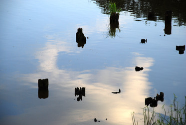 Similar image 21554120