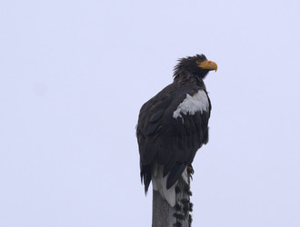 Similar image 21557201