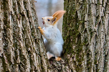 Similar image 21553699