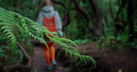 Similar image 21562554