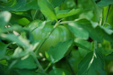 Similar image 21554129