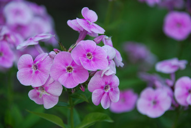 Similar image 21554134