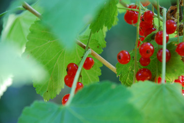 Similar image 21554140