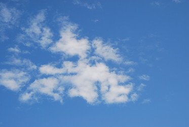 Similar image 21554142