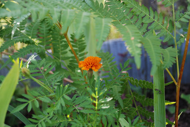 Similar image 21554151