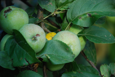 Similar image 21554155