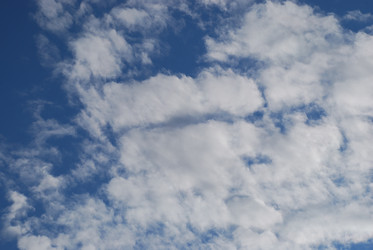 Similar image 21554158