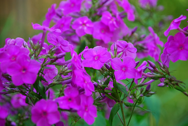 Similar image 21554165