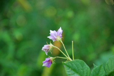 Similar image 21554258