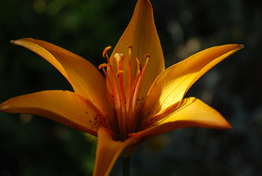 Similar image 21554259