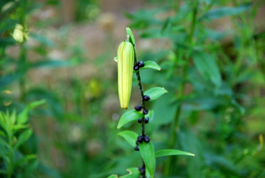 Similar image 21554261