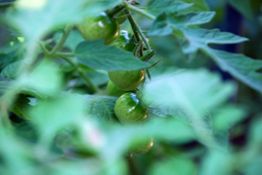 Similar image 21554262