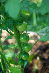 Similar image 21554263