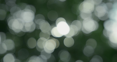 Similar image 21562577