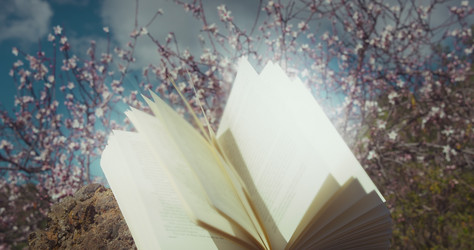 Similar image 21553519