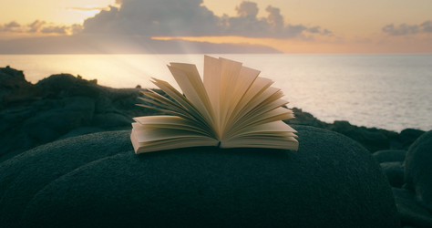 Similar image 21562600