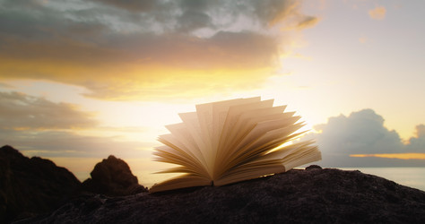 Similar image 21553521