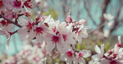 Similar image 21562608