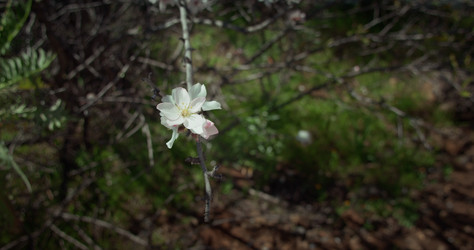 Similar image 21562609