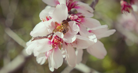 Similar image 21562614